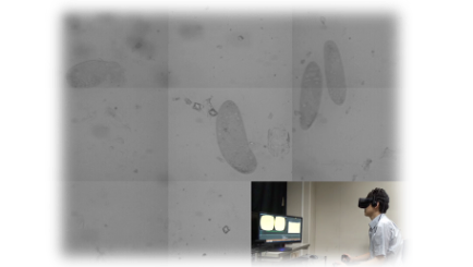 微細操作のための画像提示インタフェース