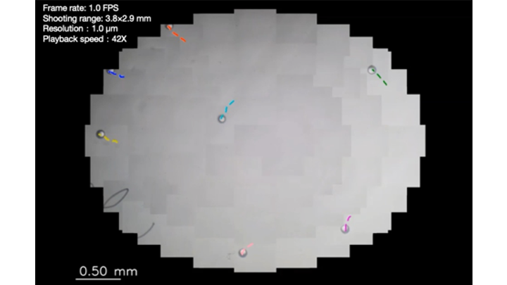 視野拡張顕微鏡を用いた自己駆動液滴の自律運動解析