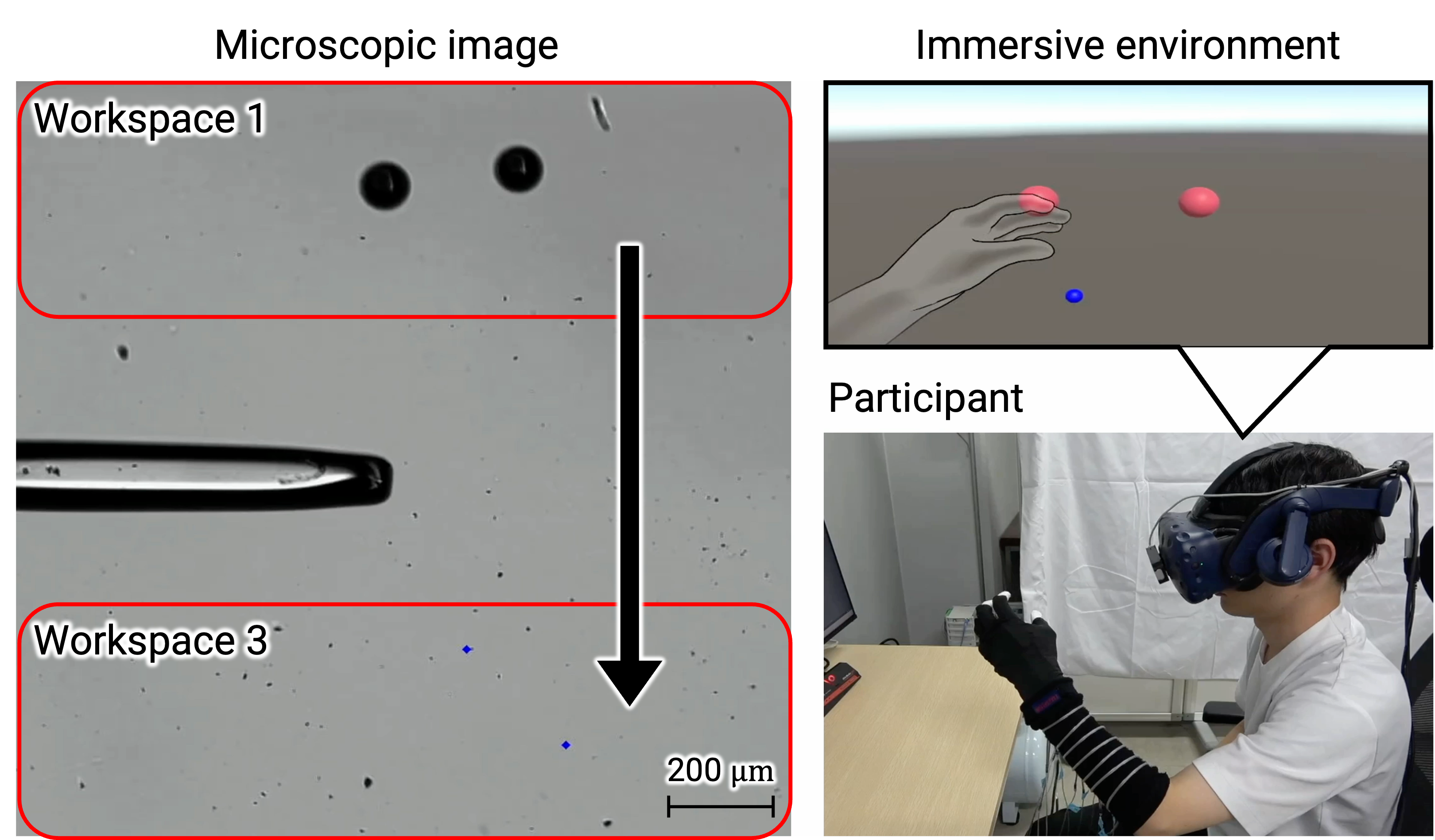 Immersive Micromanipulation System That Reduces Workload via Augmented Haptics